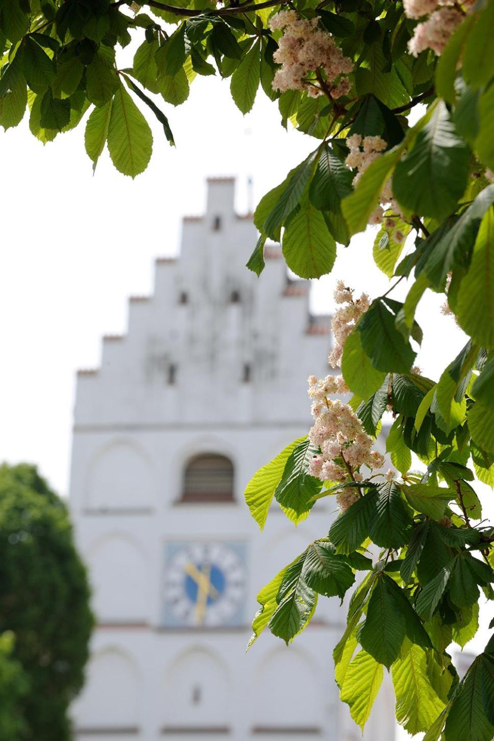 Landhotel Schlappinger-Hof ไรส์บาค ภายนอก รูปภาพ